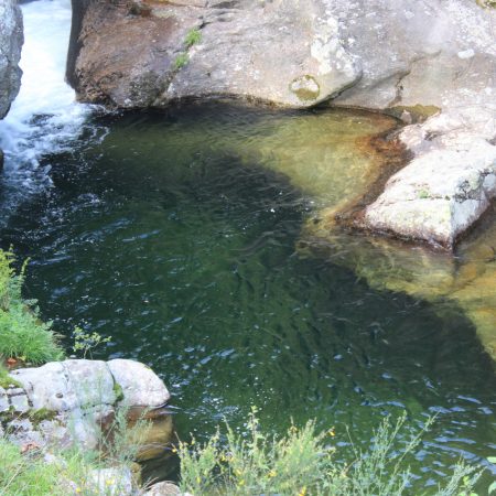 Arões - Rio Arões