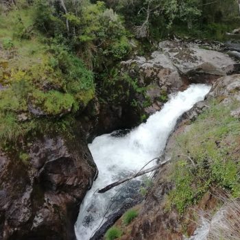 Arões- Rio Arões - Dornas